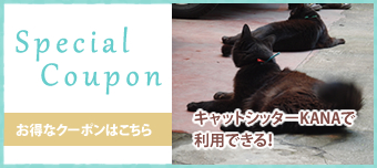 クーポンはこちら