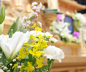 ギフトの祝花 葬儀の供花 花選びで悩んだら兵庫県たつの市の九重生花店へ